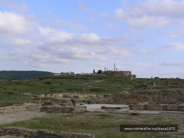 photo 372659