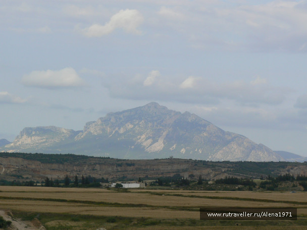 photo 372669