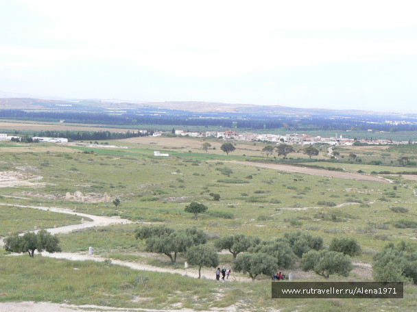 photo 372672