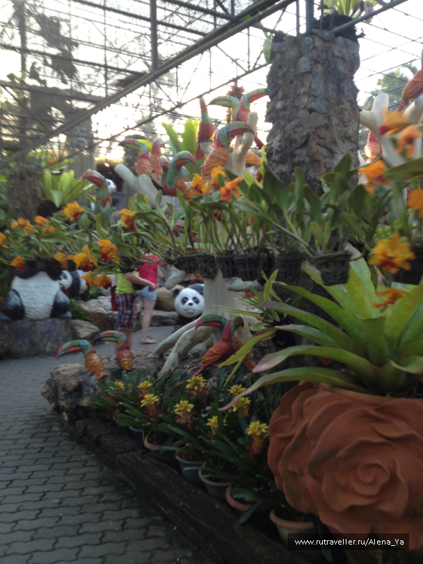photo 688802