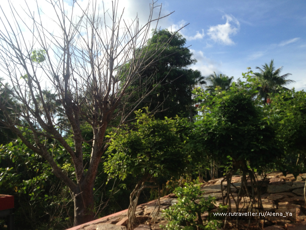 photo 688820