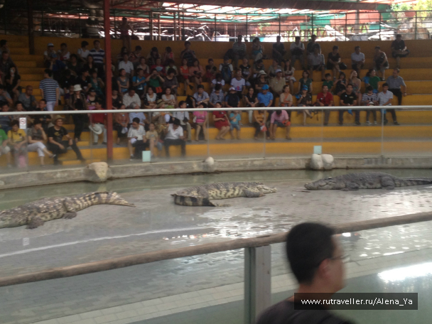 photo 689327