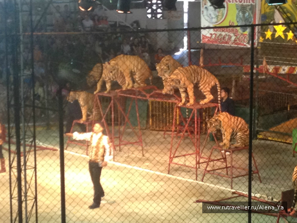 photo 689328