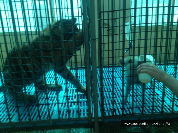 photo 689333