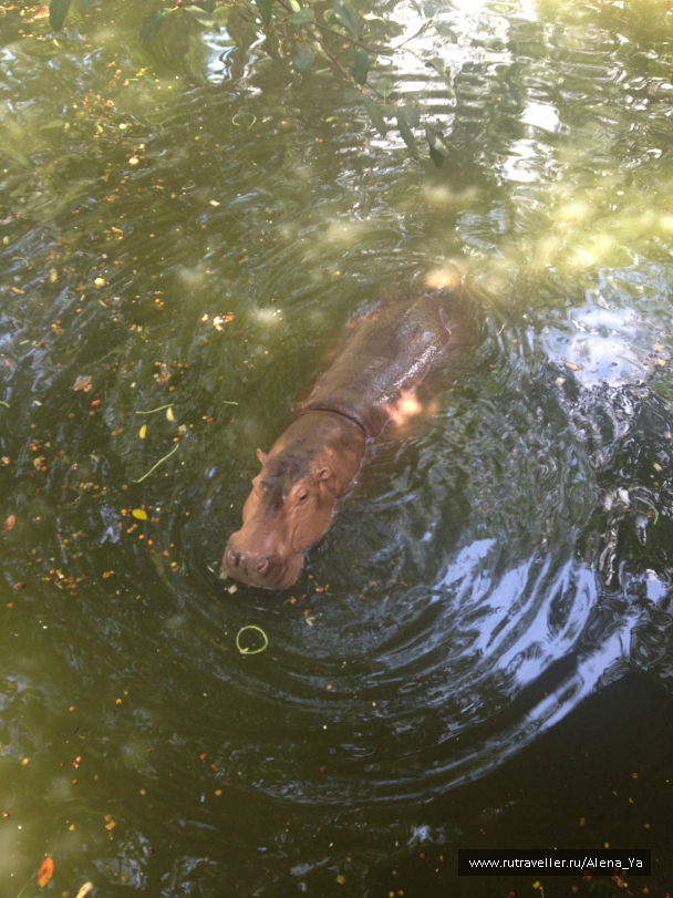 photo 689345
