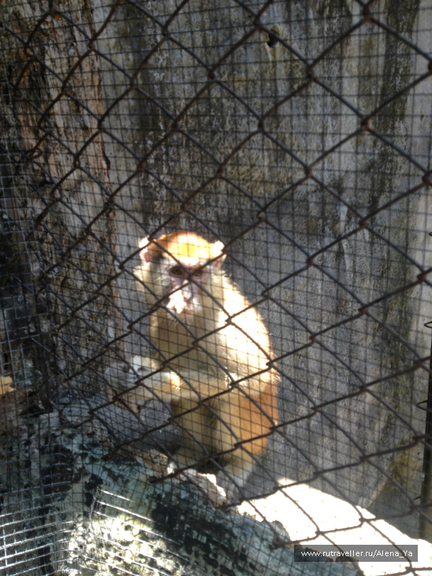 photo 689347