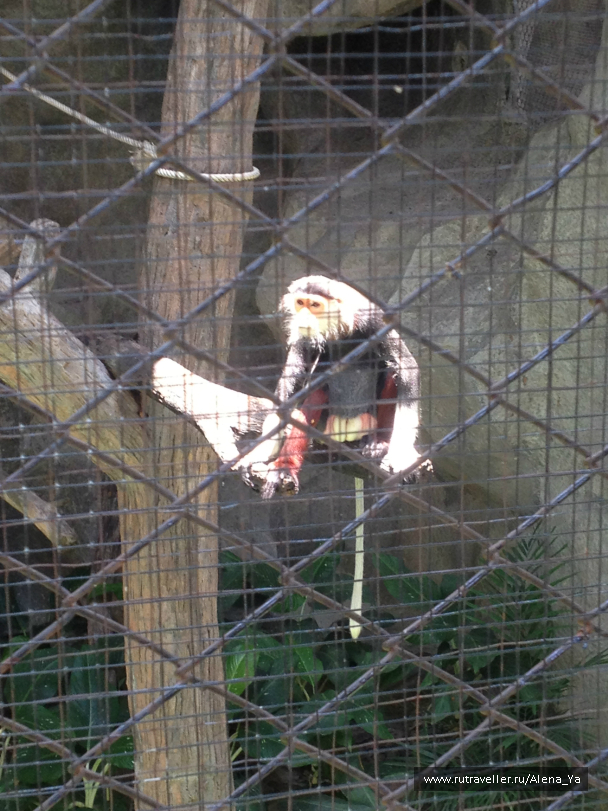 photo 689349