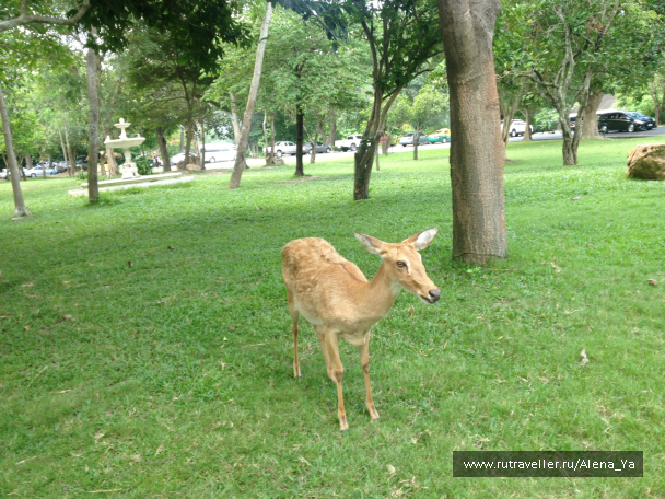 photo 689350