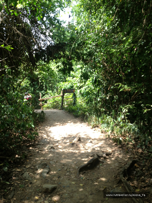 photo 703836