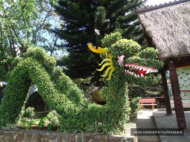 photo 212603
