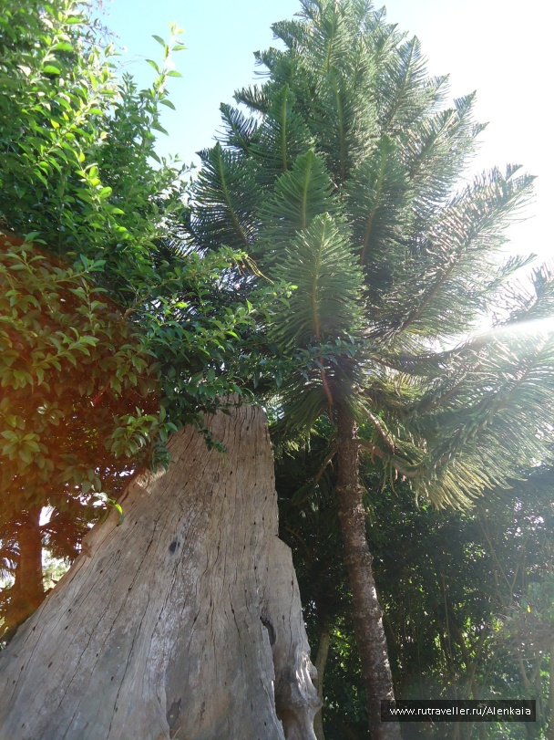 photo 212756