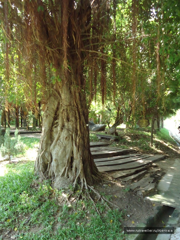 photo 212773