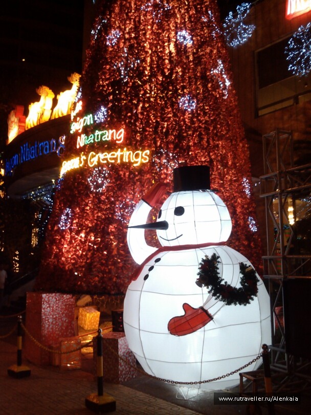 photo 221144