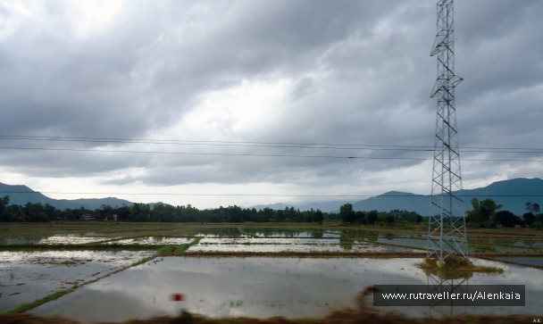 photo 867676