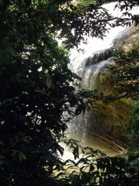 photo 877238