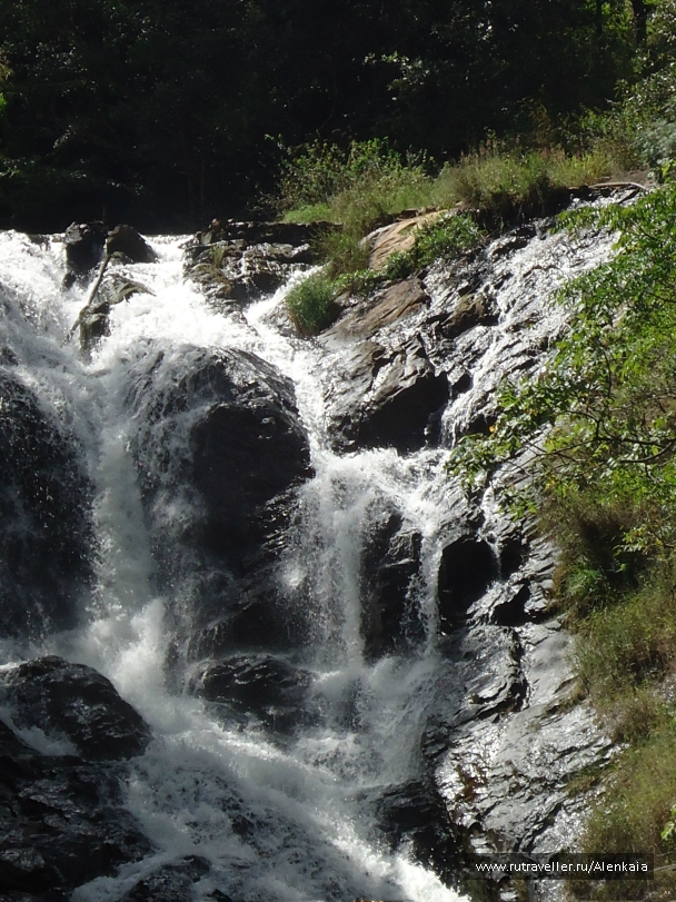 photo 877239