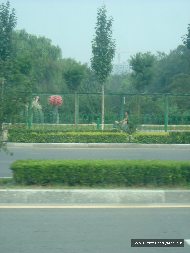 photo 219934