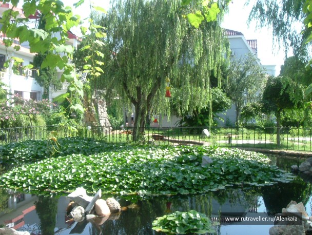 photo 223138