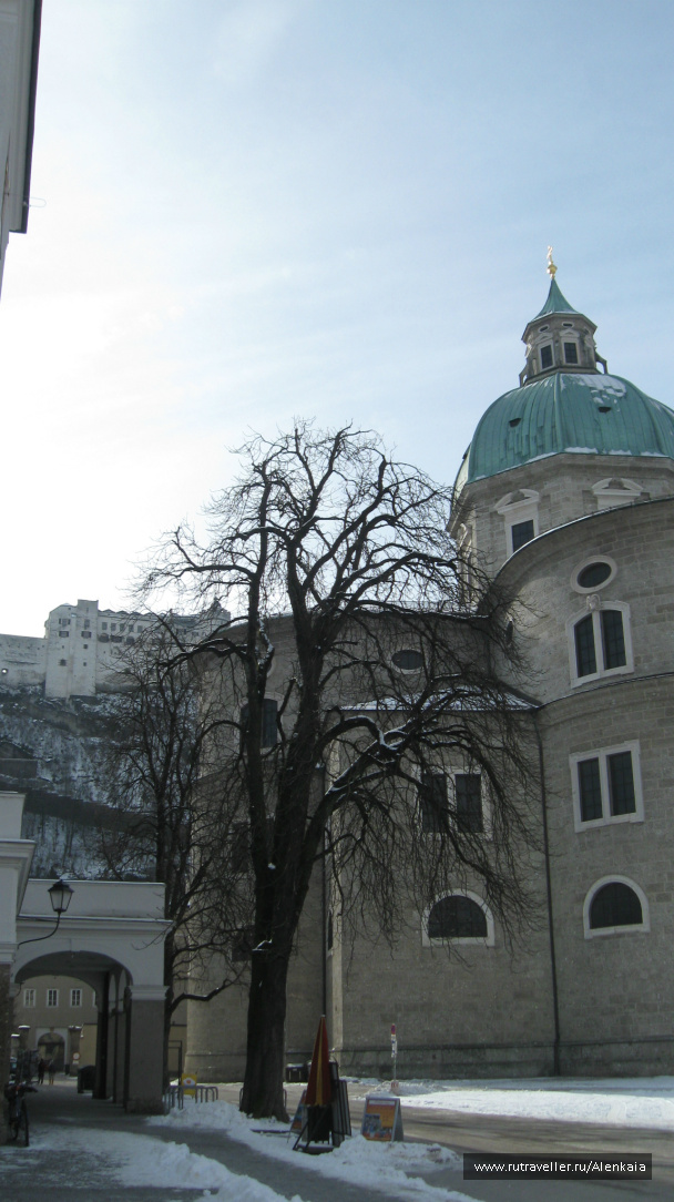 photo 289676