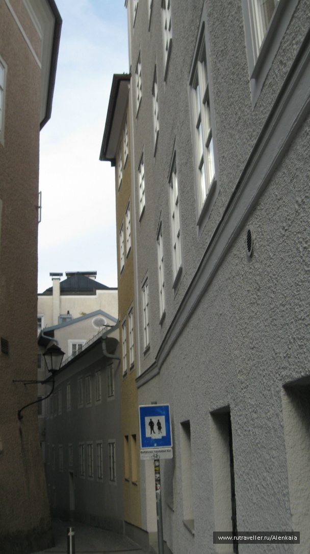 photo 289681