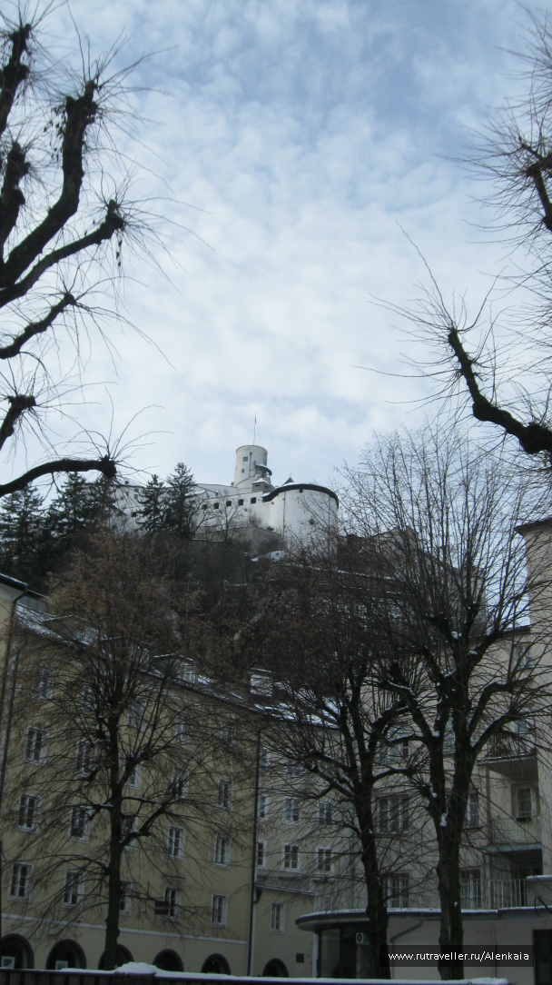 photo 289682