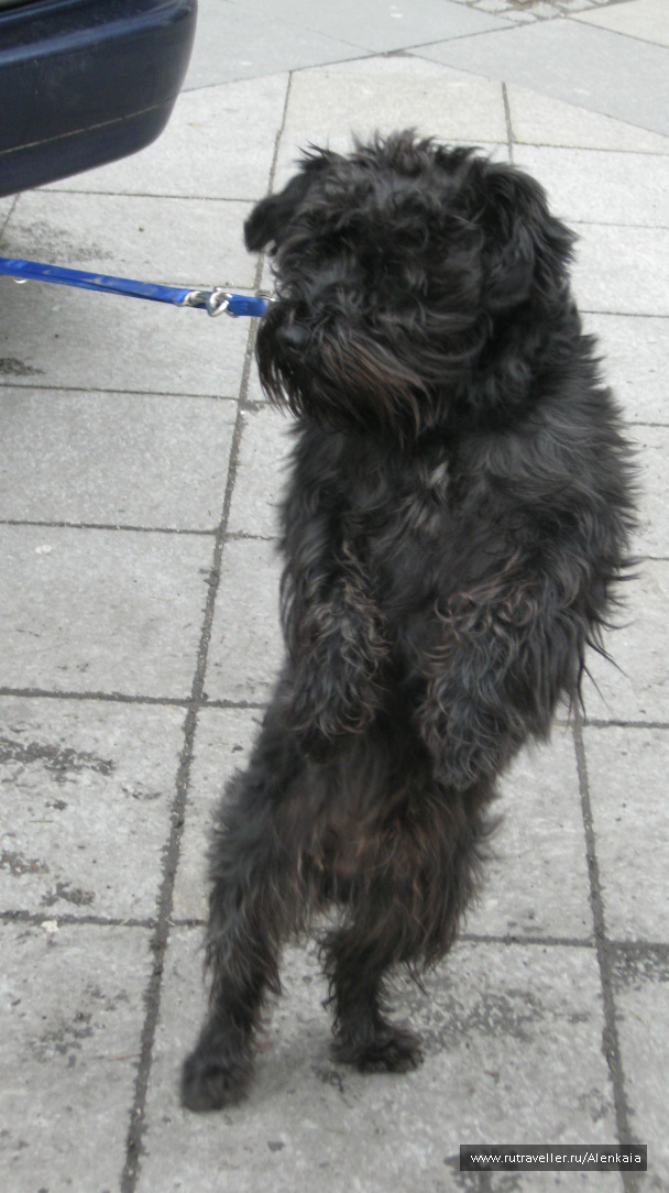 photo 294760