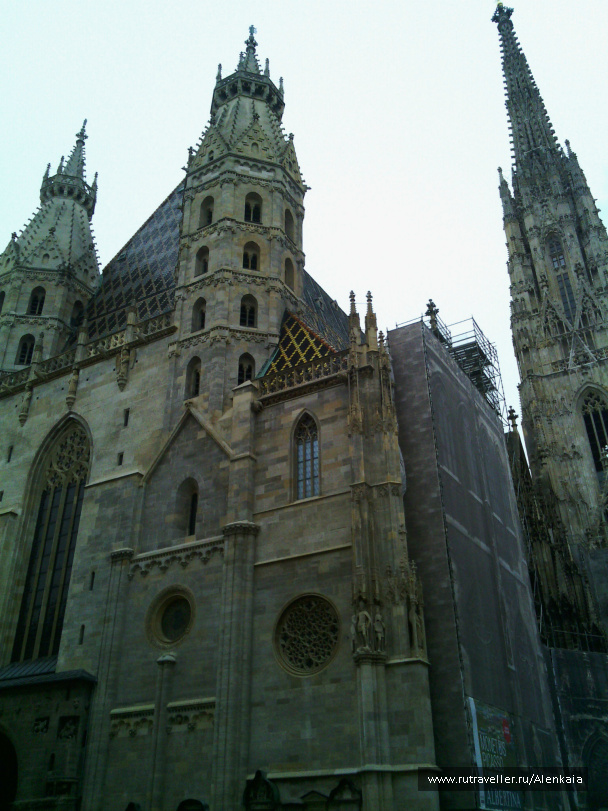 photo 344821