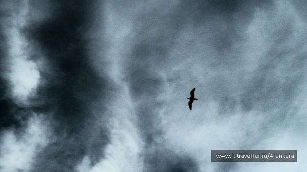photo 363264