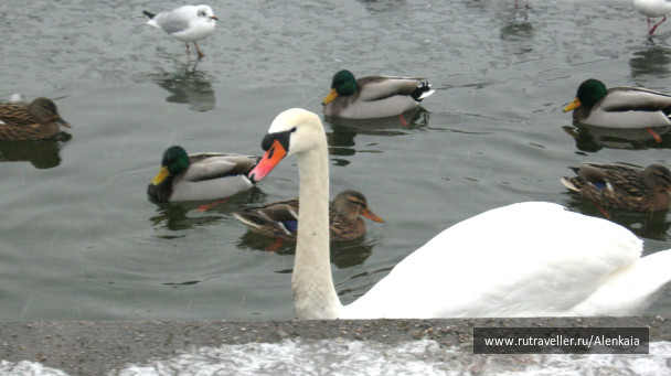 photo 344823