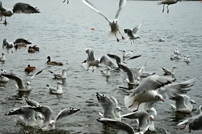 photo 541681