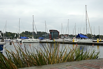 photo 865385