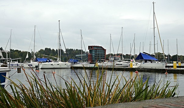 IMG_20131005_123311