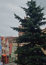 photo 865587
