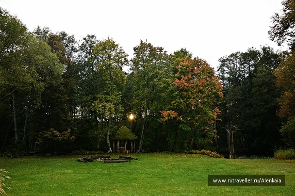 photo 538464