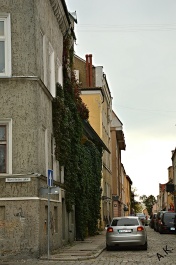 photo 546927