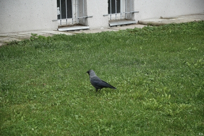 photo 926971