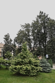 photo 927328