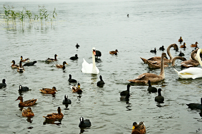 photo 723776
