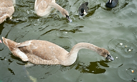 photo 773816