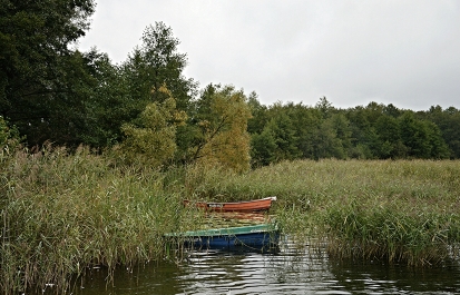 photo 911787