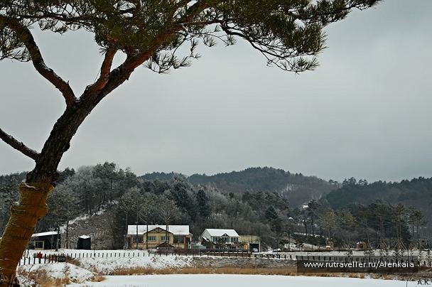 photo 664762