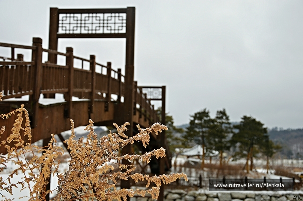 photo 665311