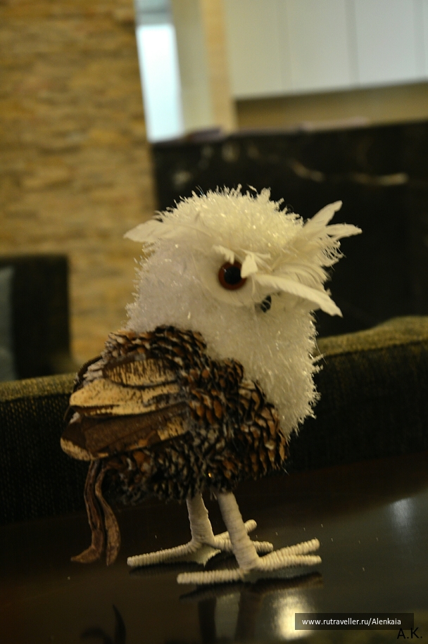 photo 681328