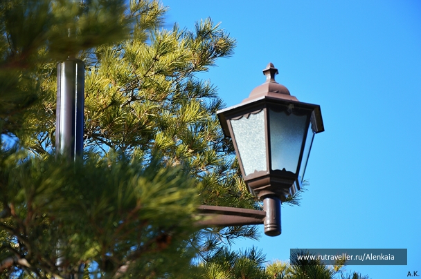 photo 687681