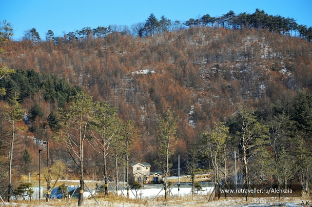 photo 688686