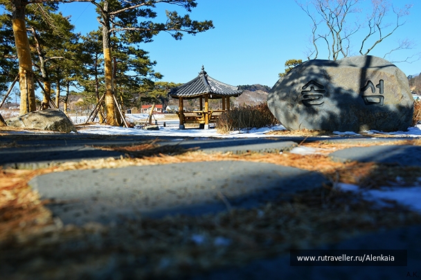 photo 690750