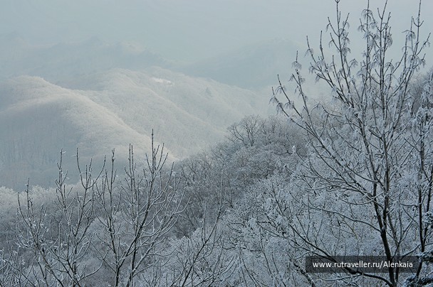 photo 927711