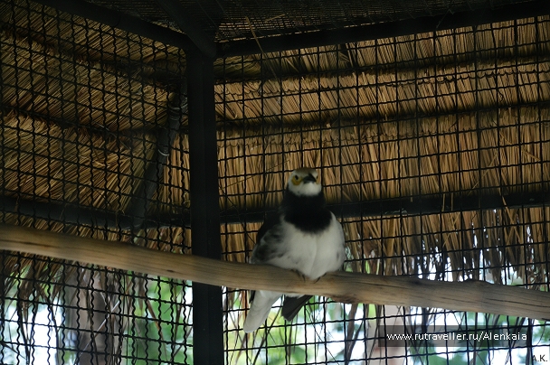 photo 883619