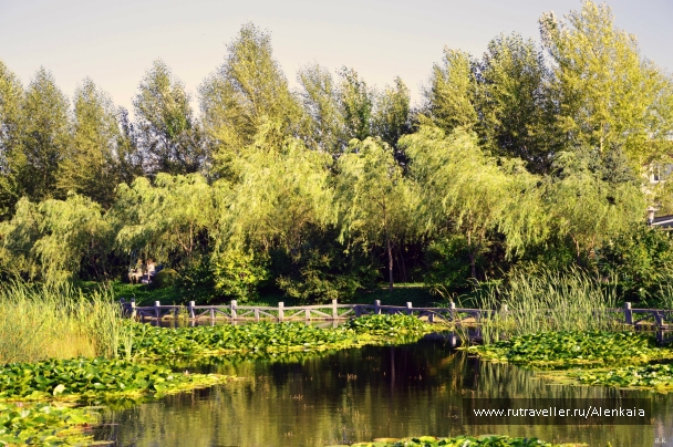 photo 837579