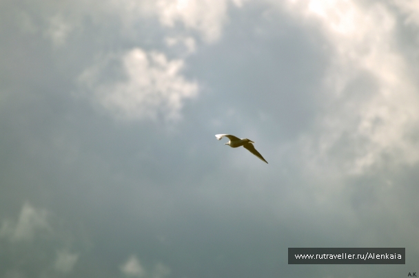 photo 840356